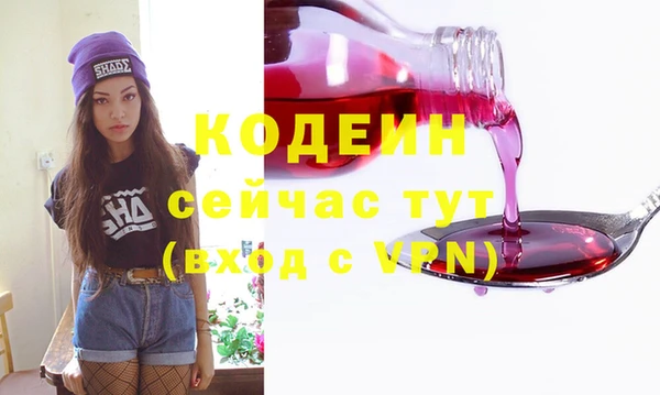 apvp Няндома