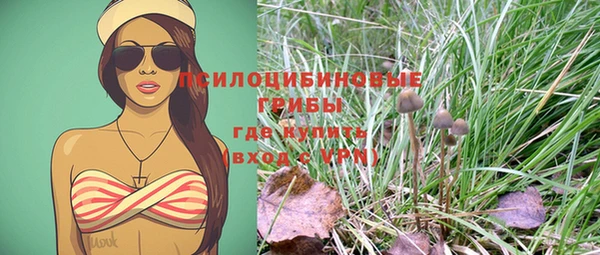 apvp Няндома