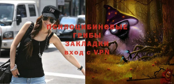 PSILOCYBIN Осташков