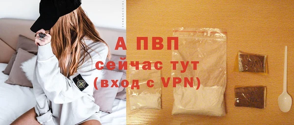 apvp Няндома