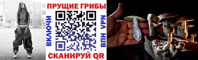 Псилоцибиновые грибы ЛСД  купить  цена  Зеленоградск 
