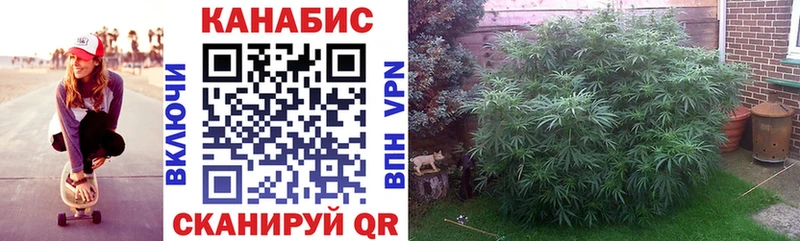 купить наркотик Зеленоградск МЕГА ссылка нарко площадка какой сайт Марихуана тримм